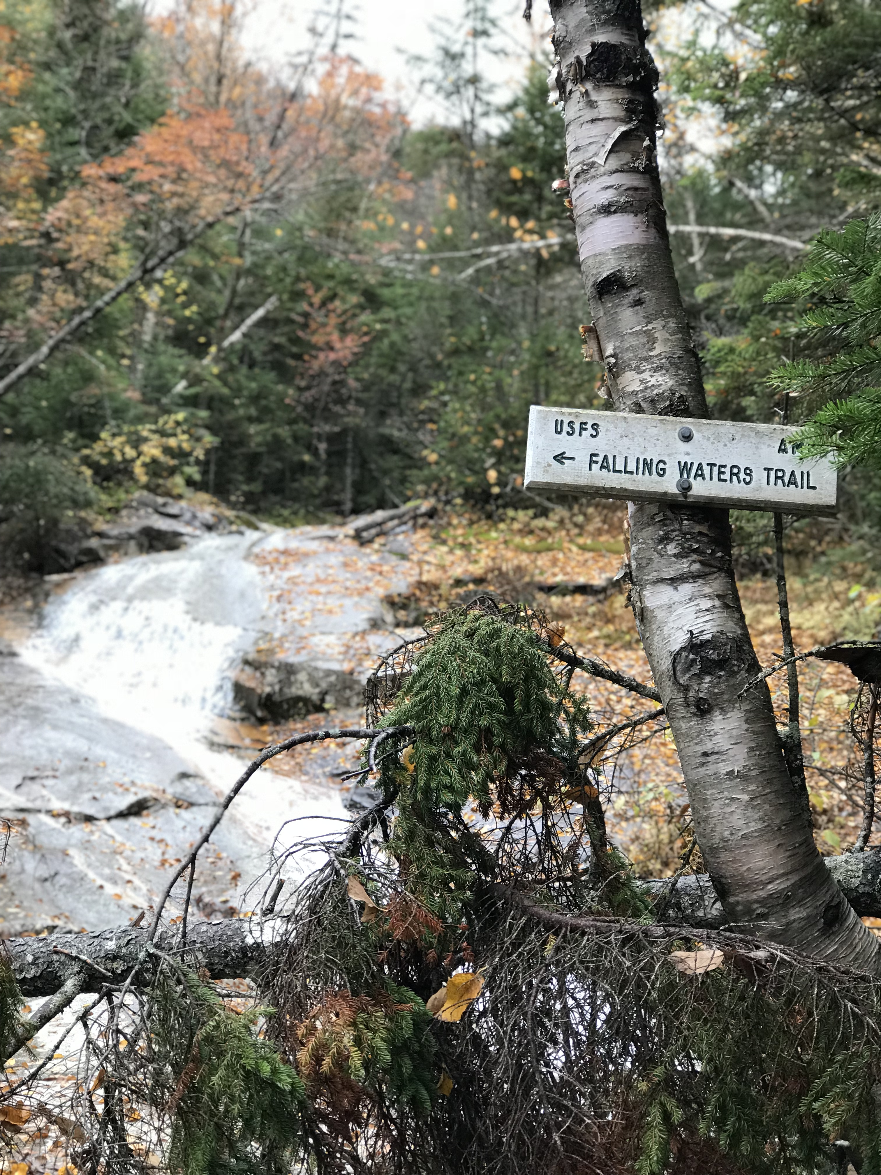 Falling waters trail sign (portrait mode)