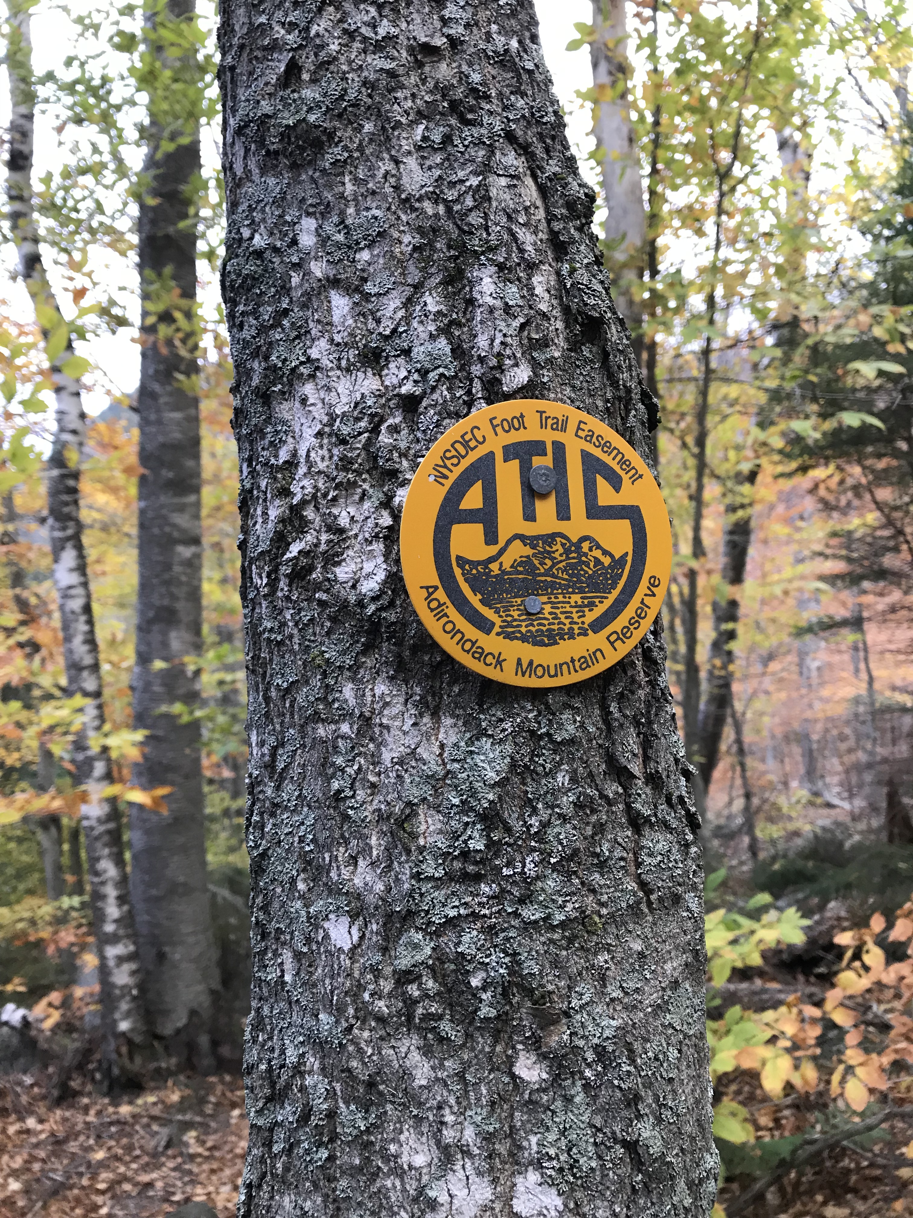 Trail markers along Sawteeth Mountain scenic route