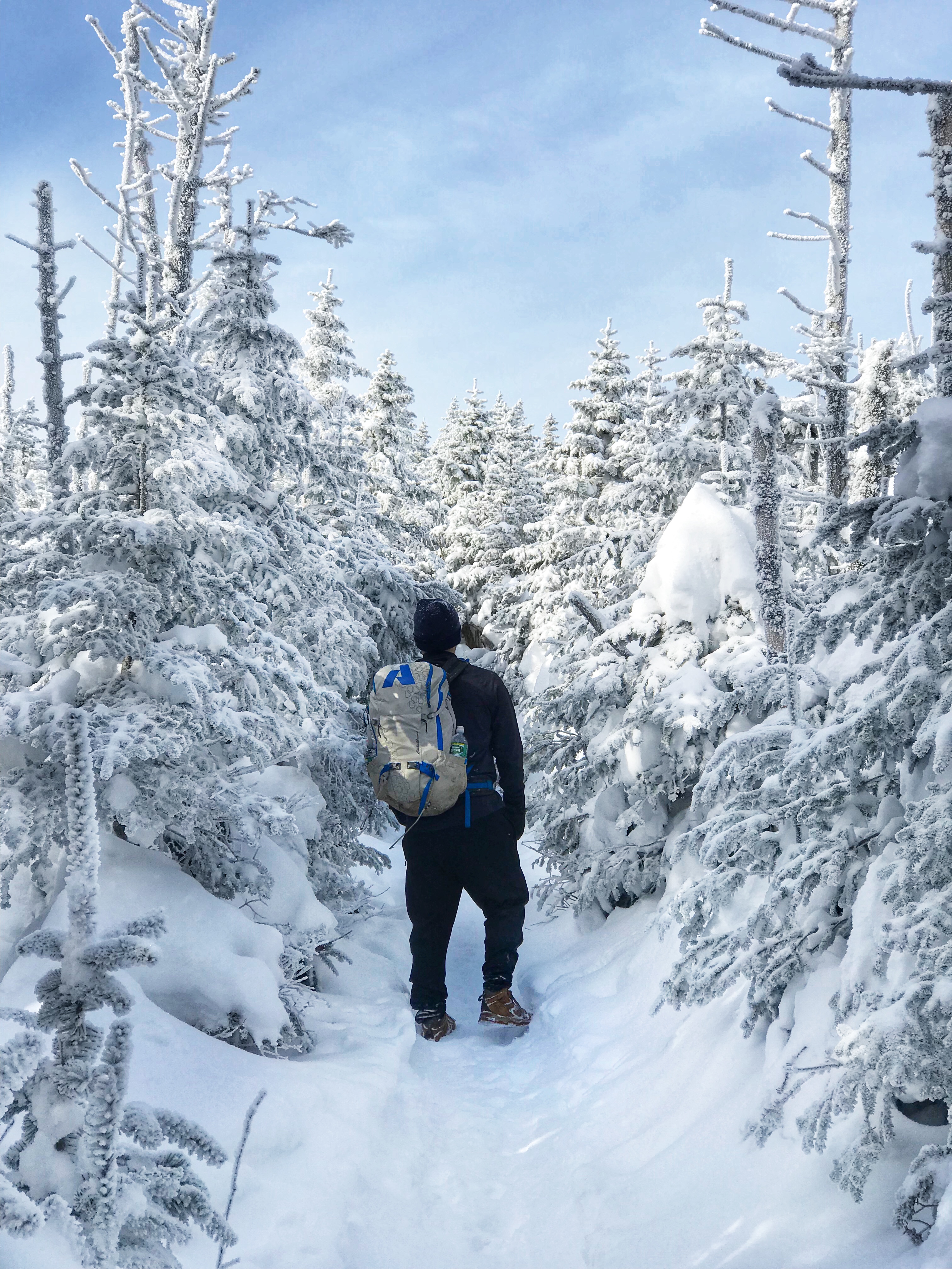 Walking in Snowy Trees on Whiteface