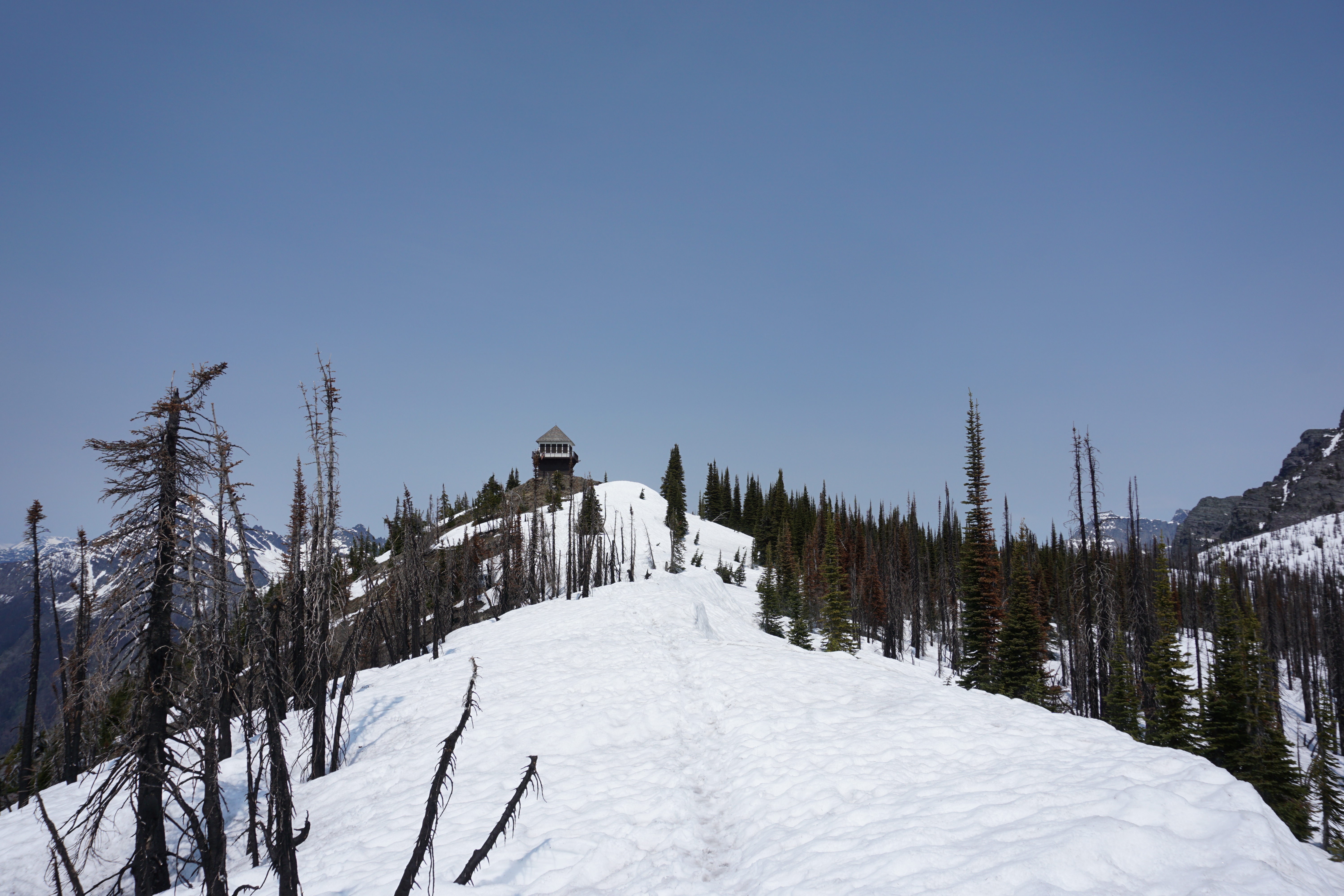 Snow and Mt Brown Fire-tower