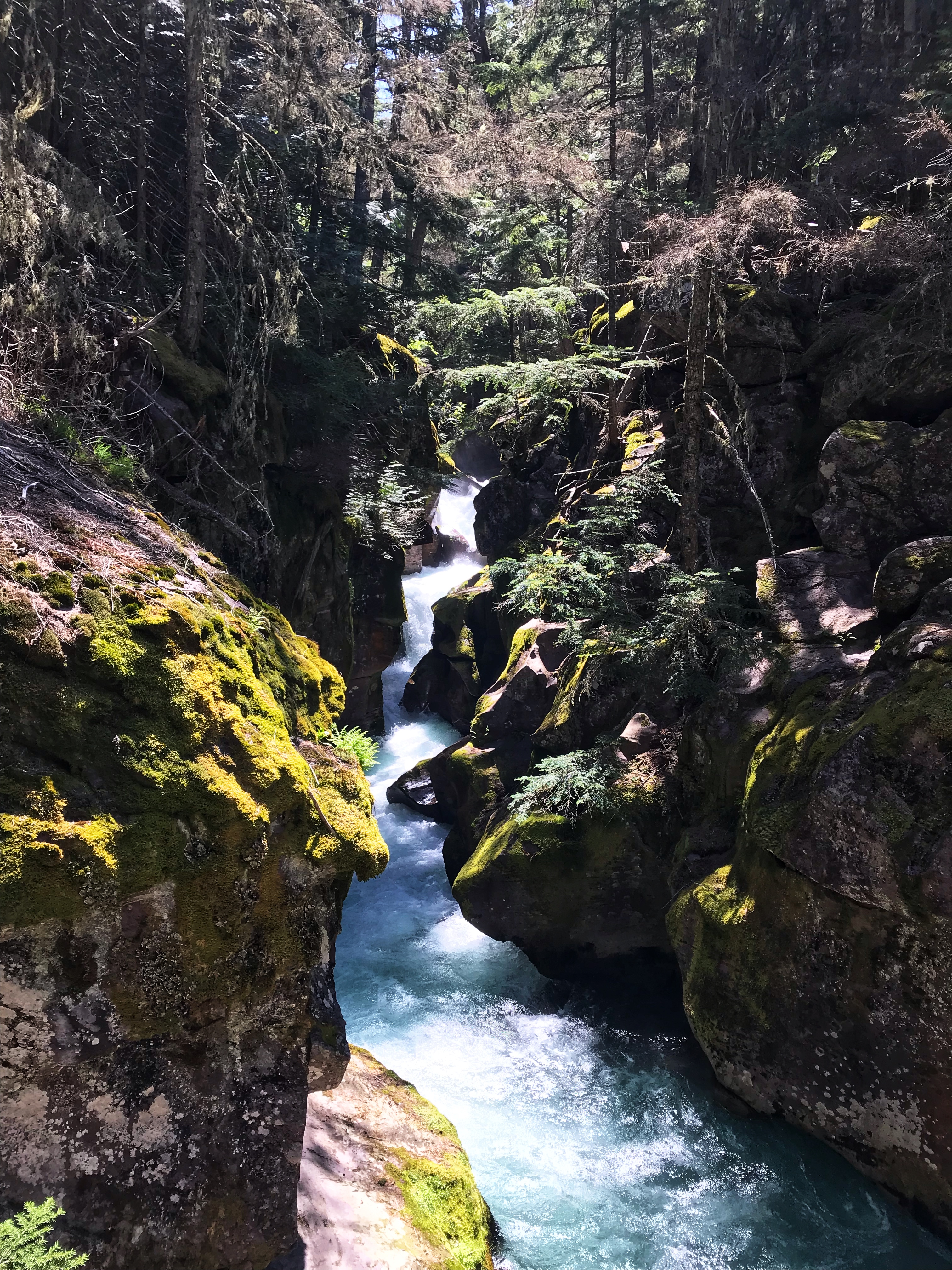 Trail of the Cedars Gorge