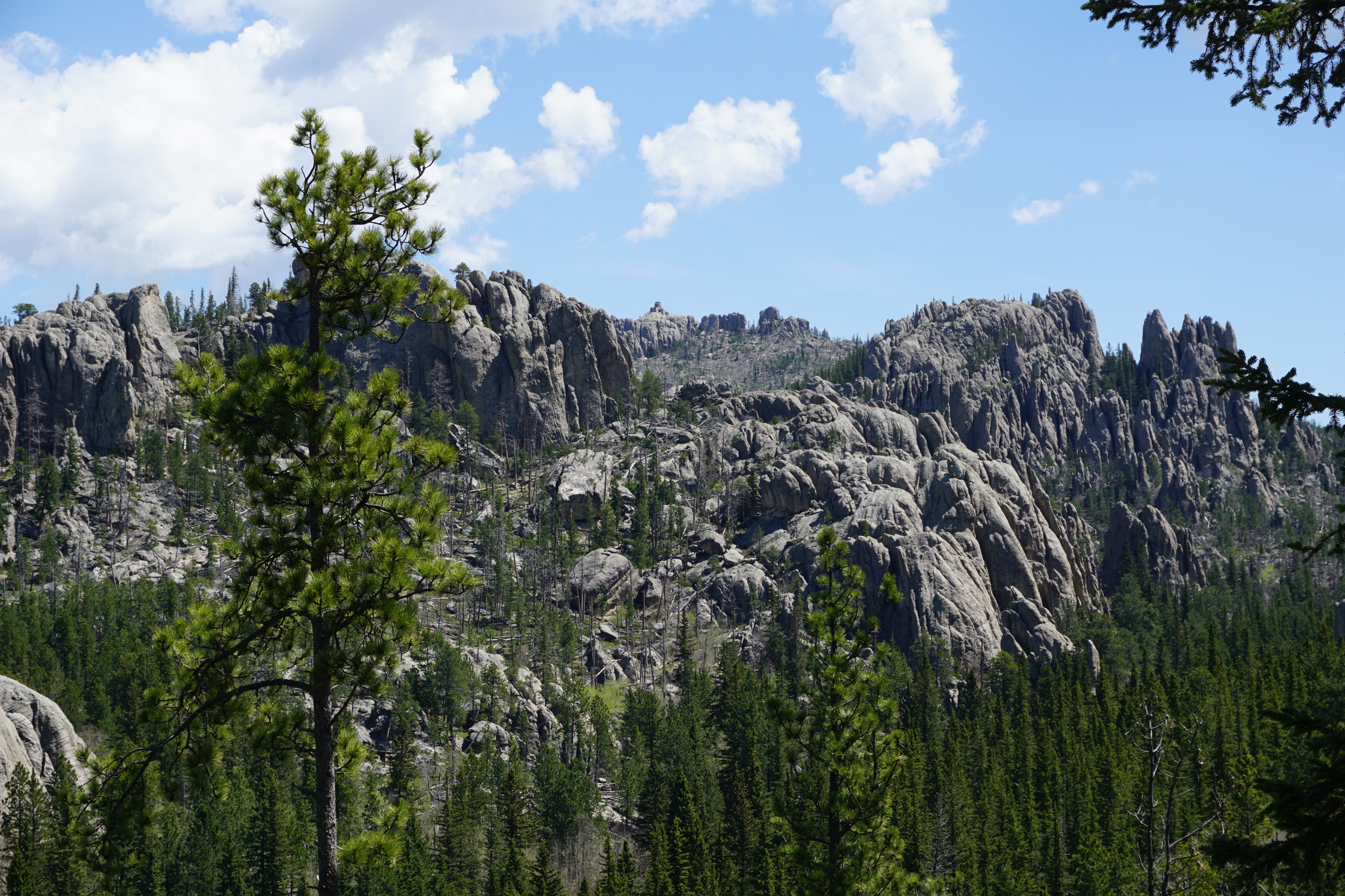 View of Black Elk Peak and Harney Lookout
