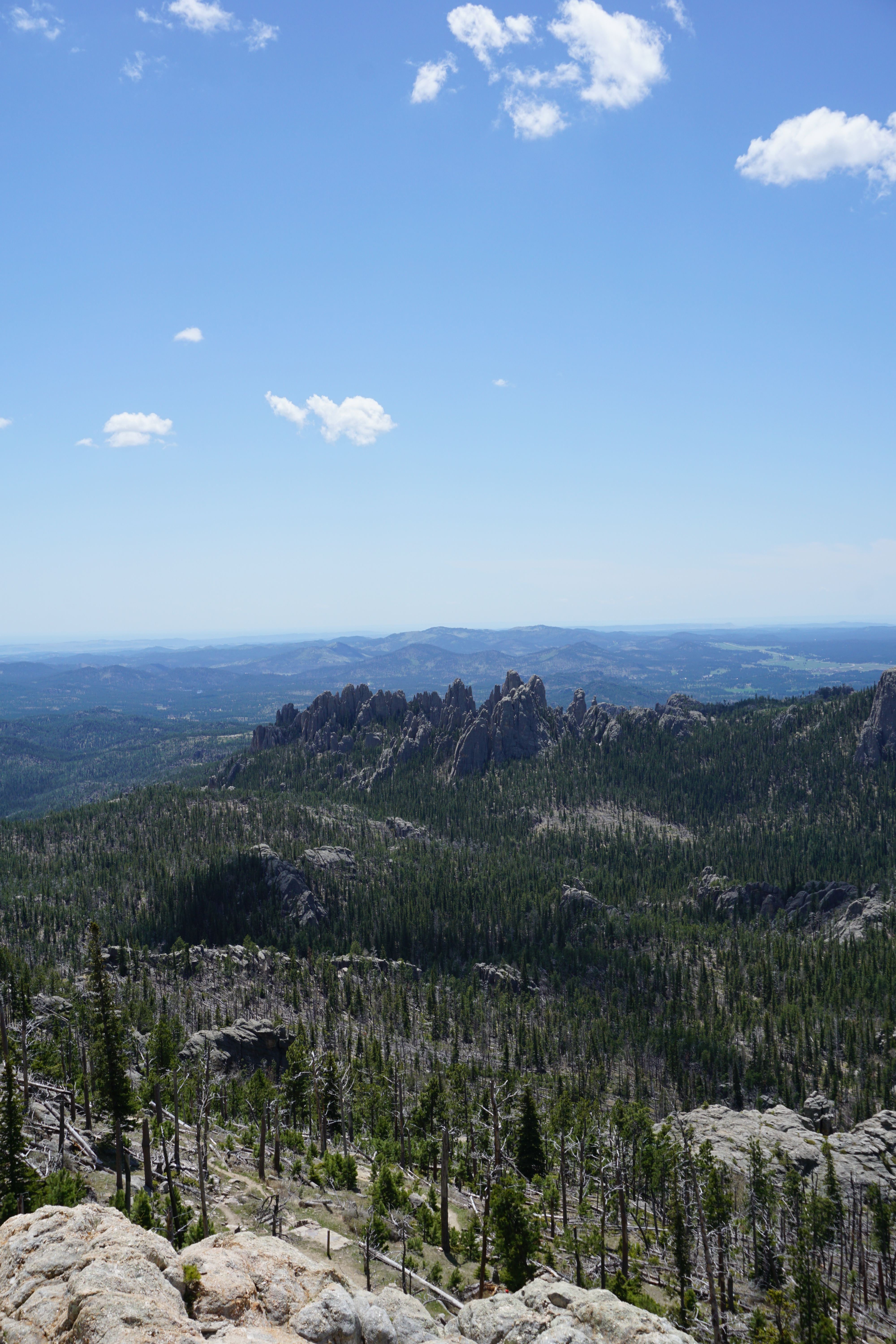Views from Summit of Black Elk Peak