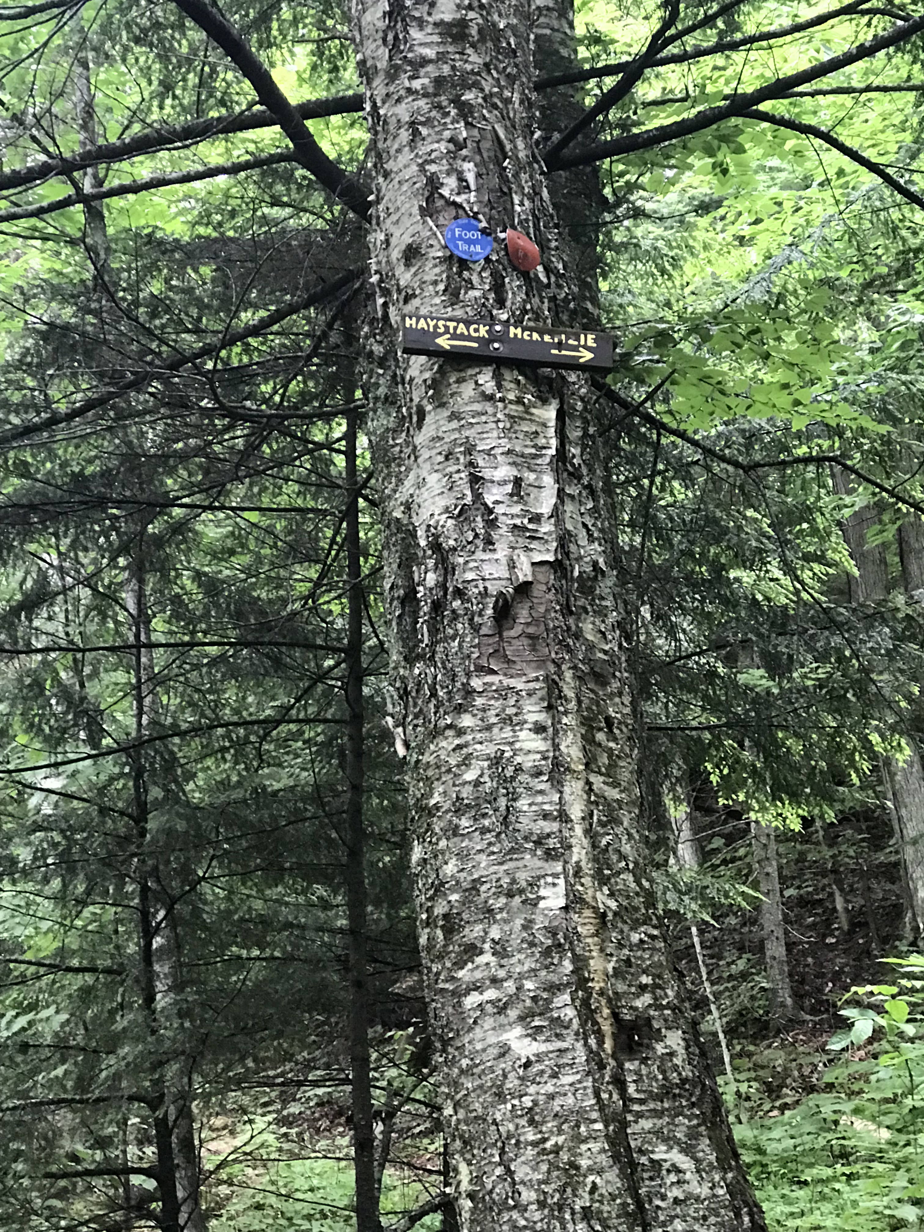 Saranac Haystack Trail Split