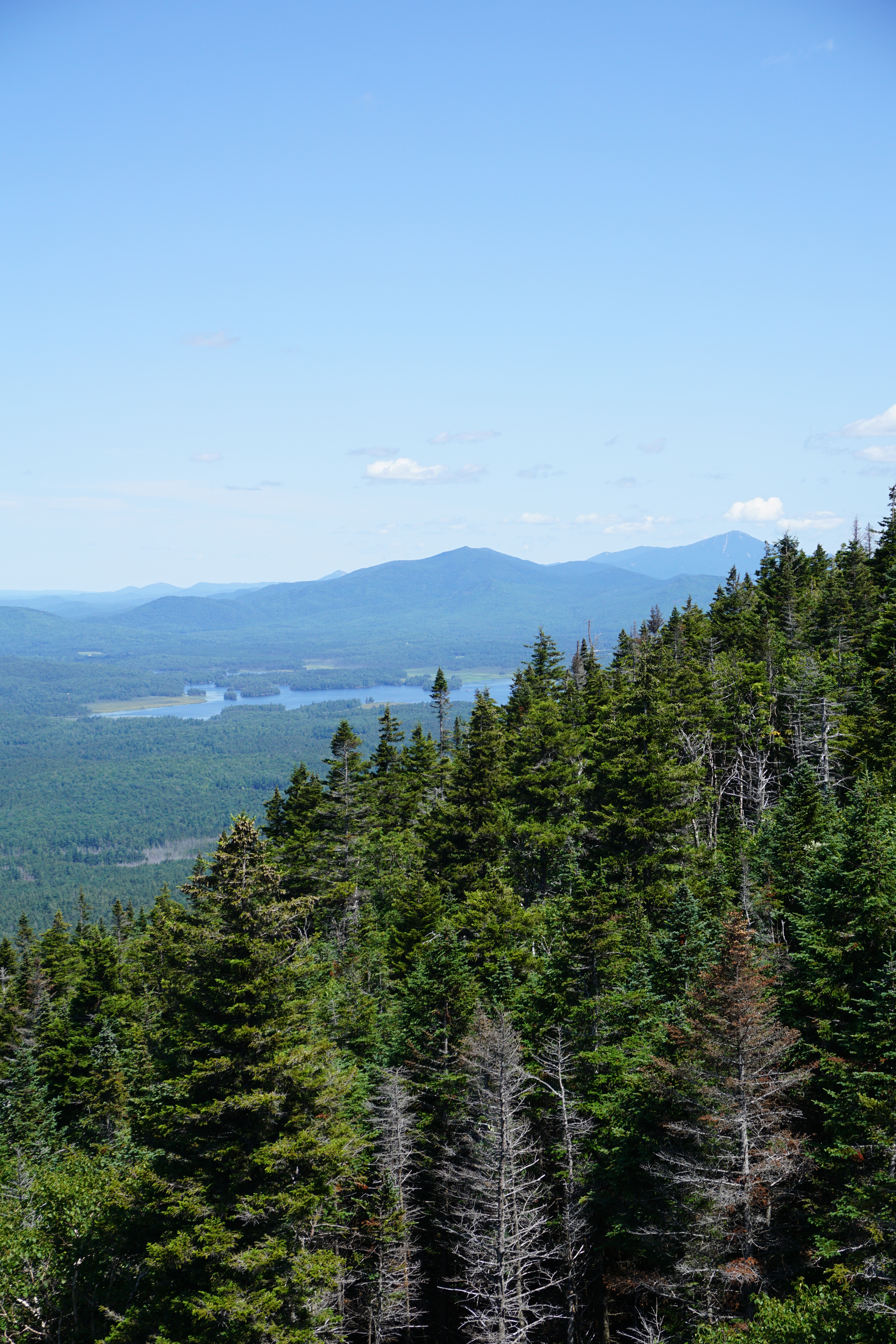 View of Whiteface from Ampersand