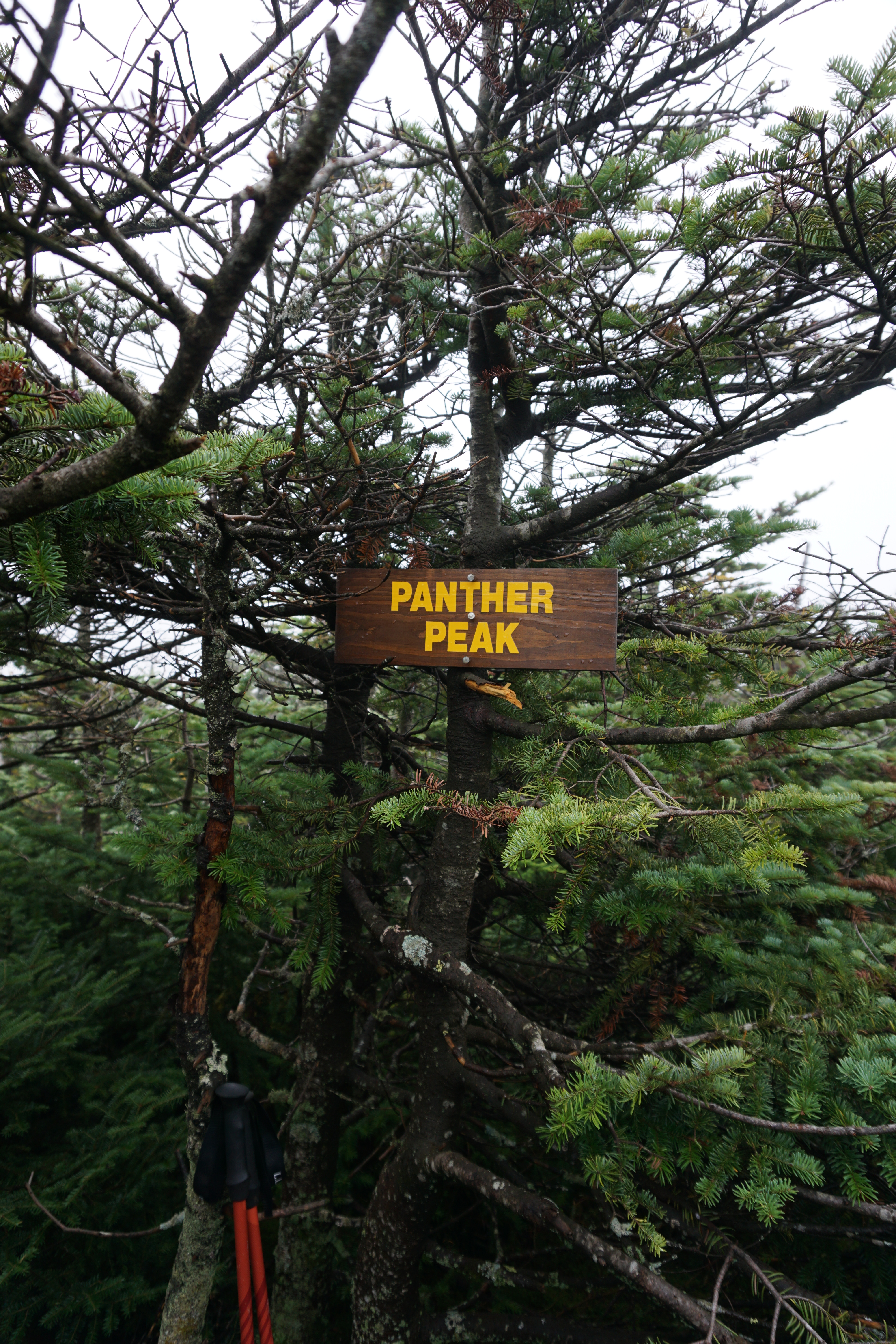 Panther Peak Sign