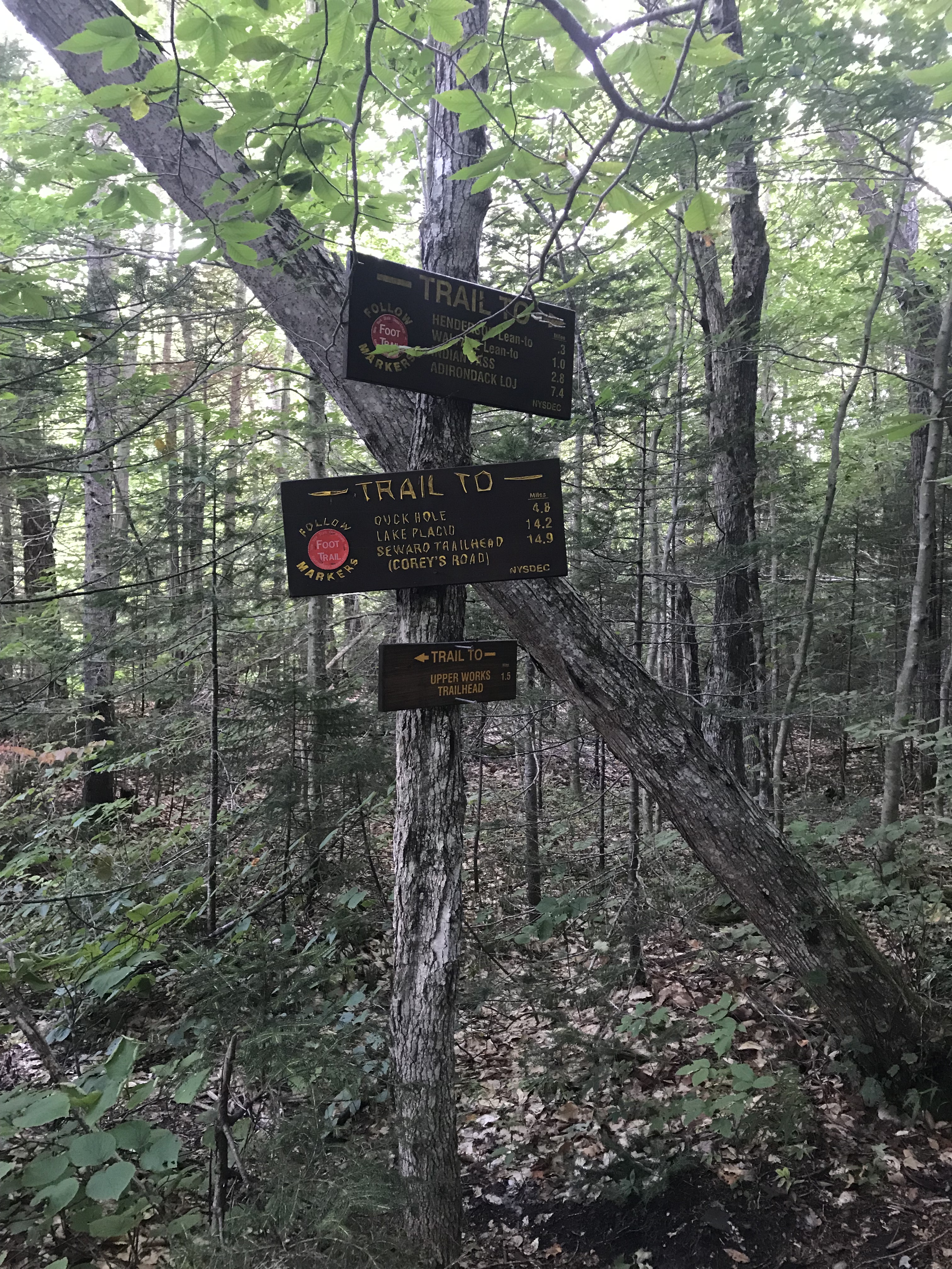 Upper Pond Trail sign (three signs)