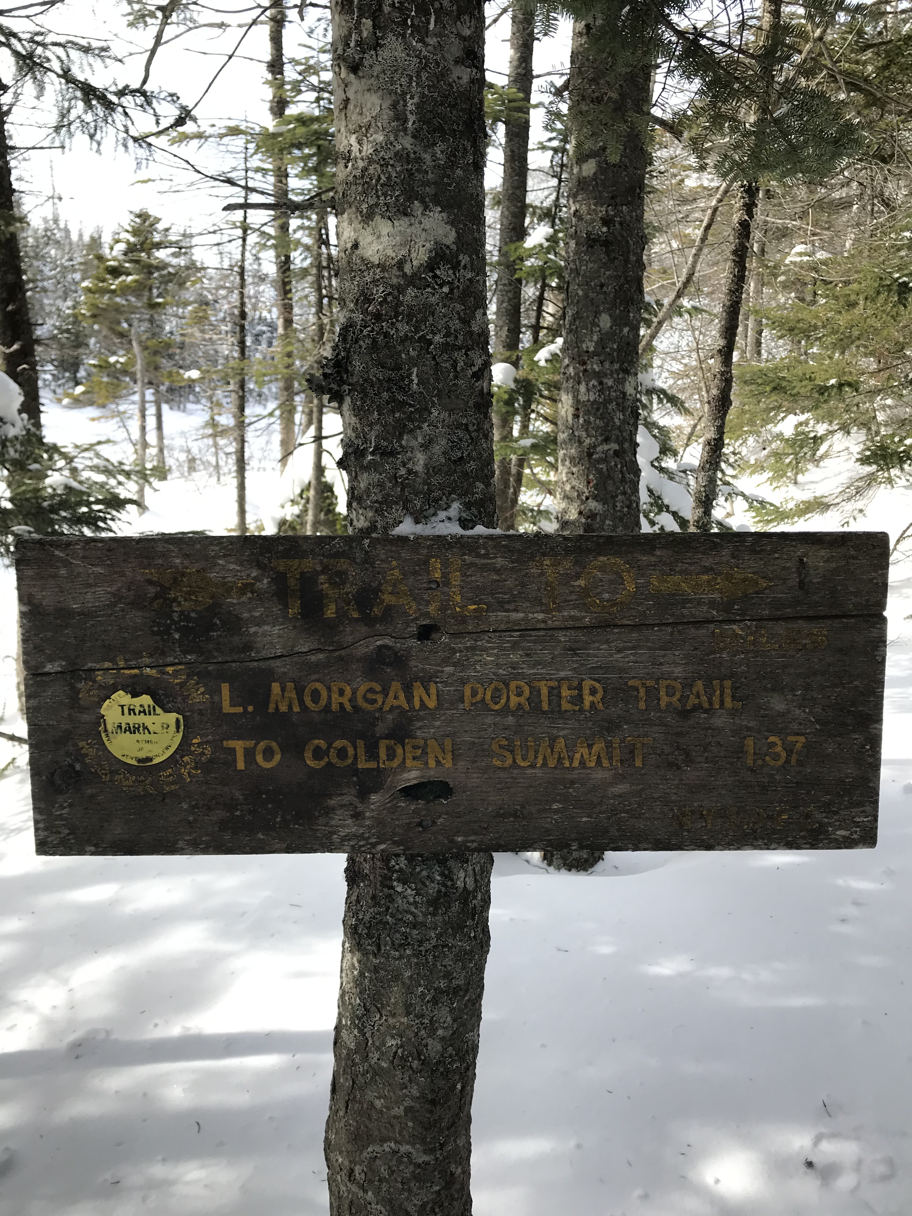 Sign: Morgan Porter trail to colden summit