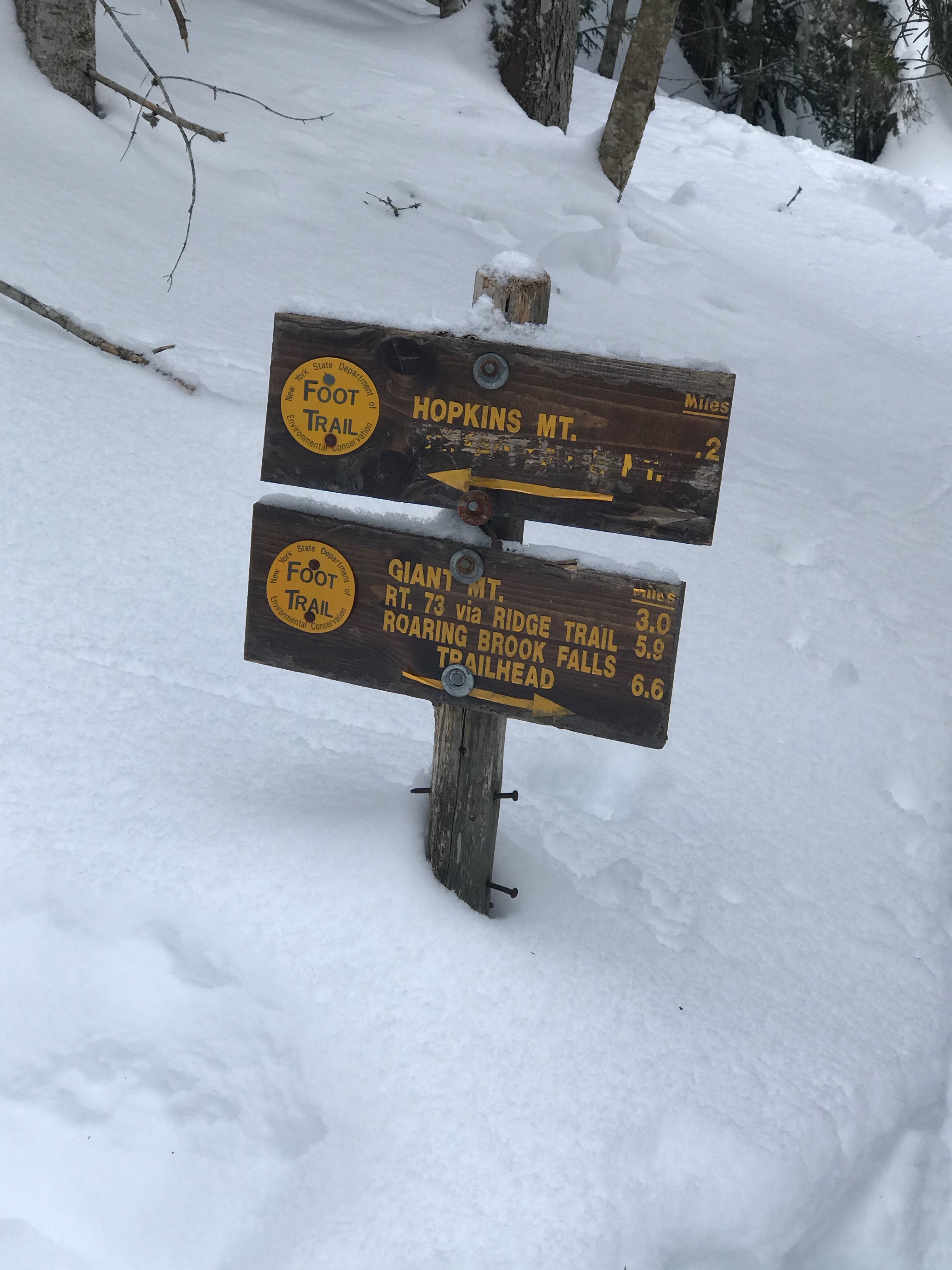 Hopkins Mountain Trail Sign to turn