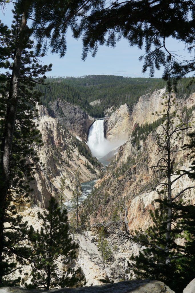 Lower Falls of Yellowstone National Park