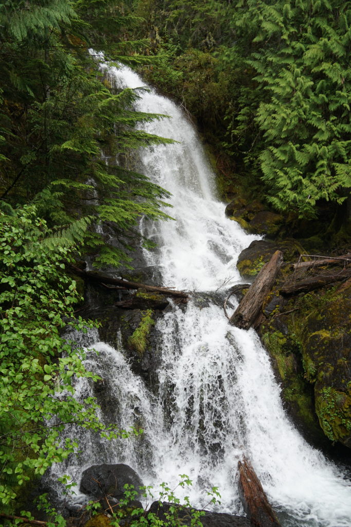 Falls Creek Falls in Mount Rainier National Park