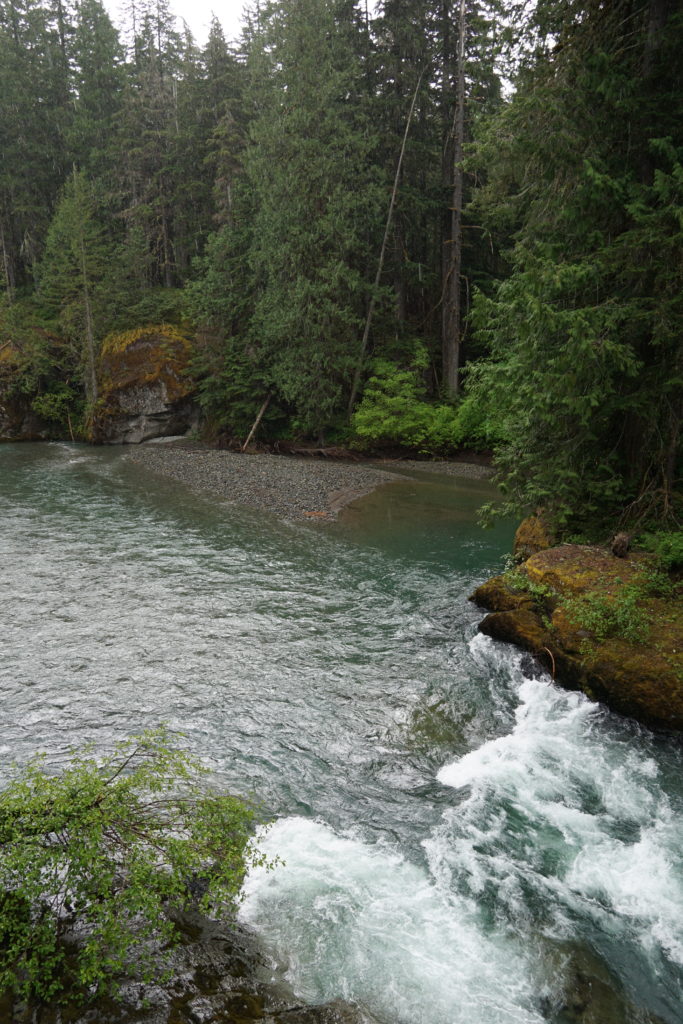 Ohanapecosh River's Turquoise Water in Mount Rainier National Park