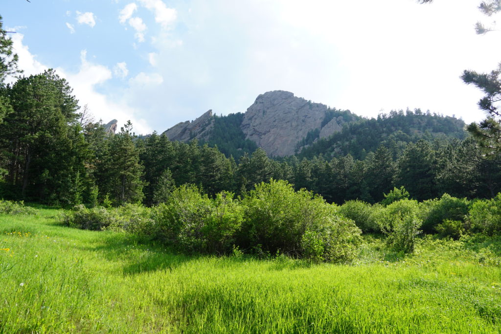 Flatiron Mountains behind green grass and trees in Boulder, Colorado