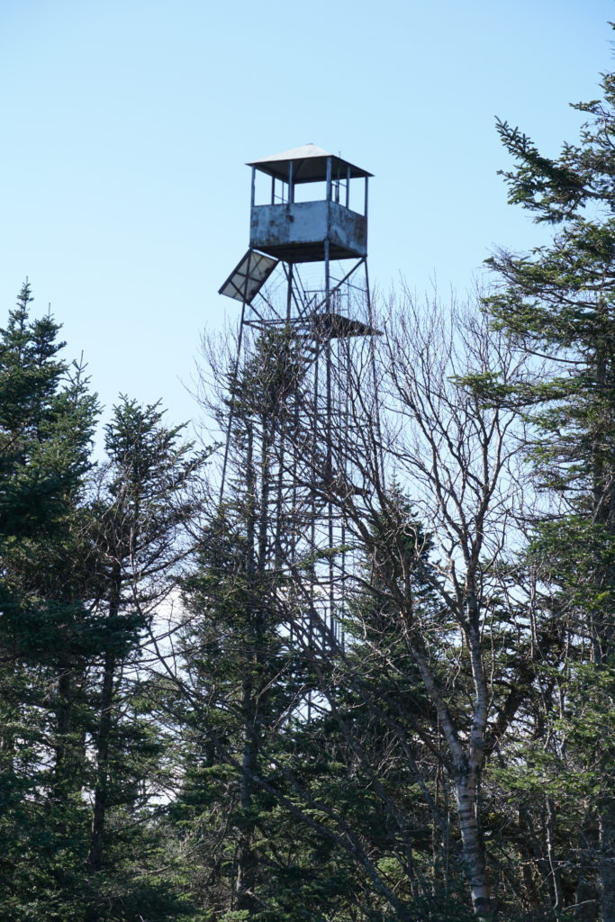 Wakely Mountain Fire Tower behind the trees