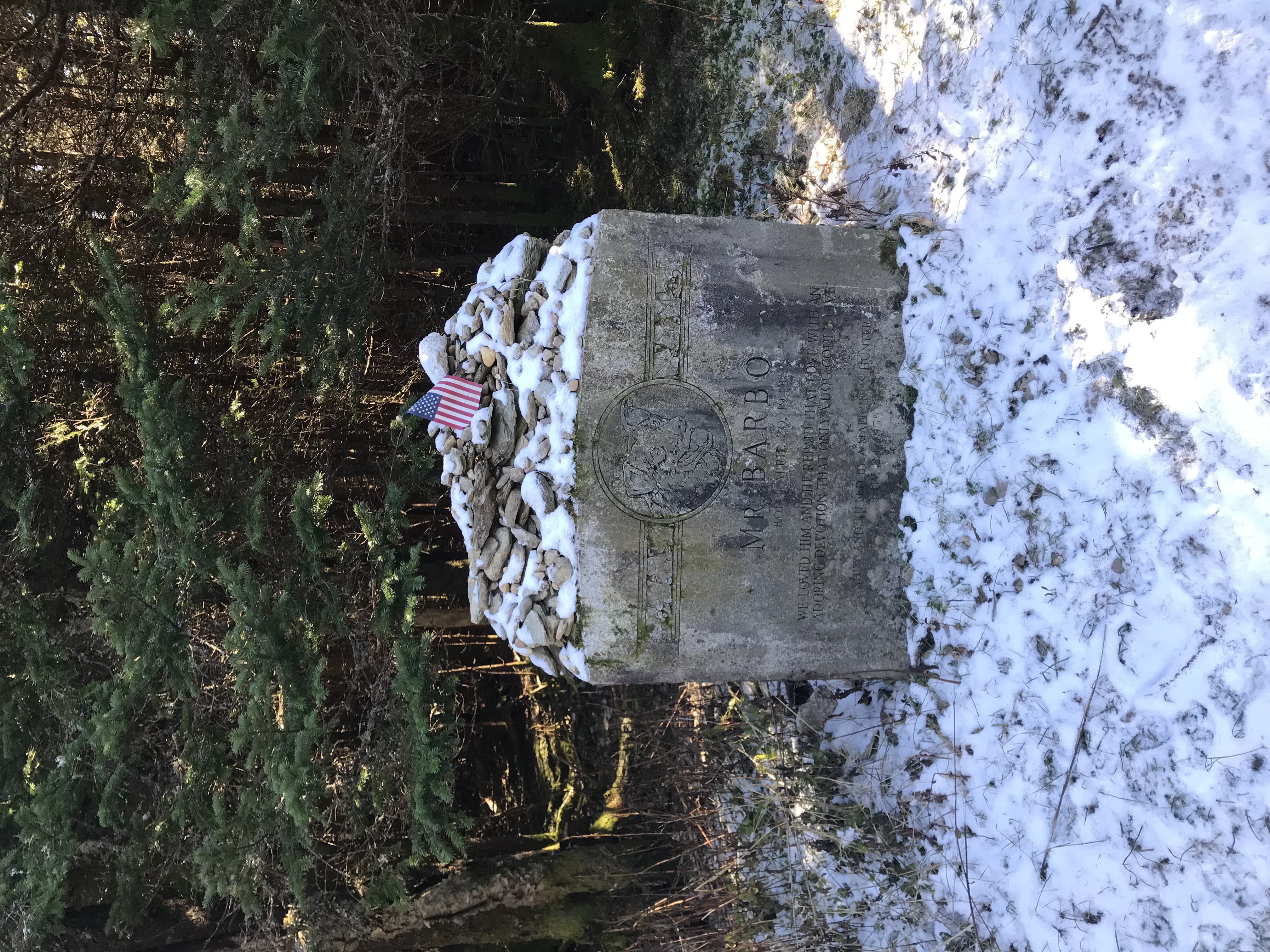 Mr. Barbo's Grave near the summit