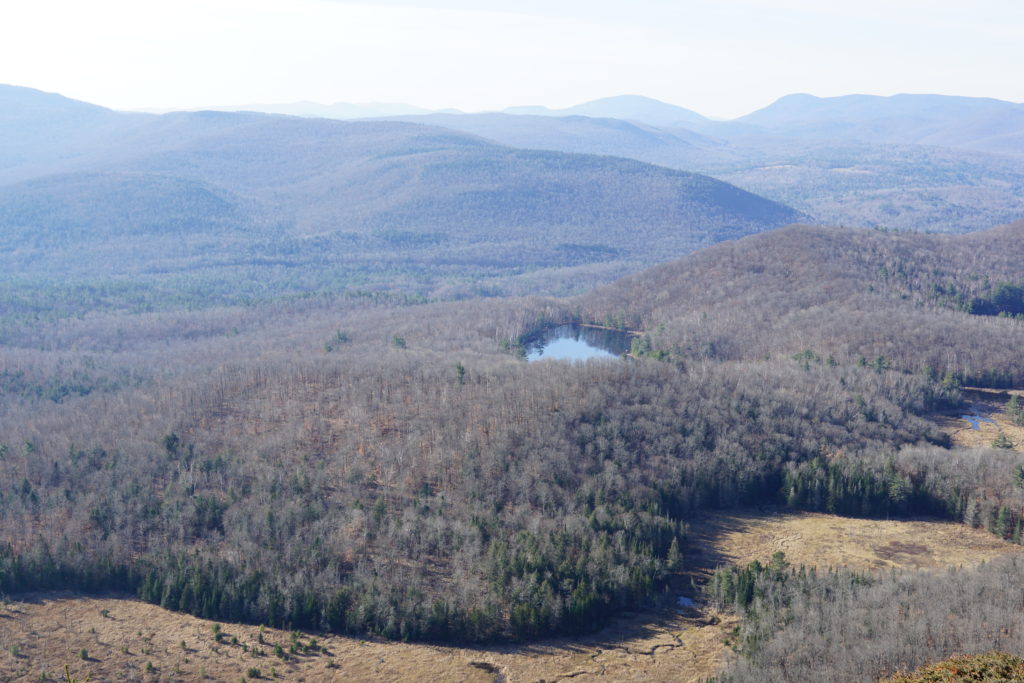 Views of the wetlands from the top of Moxham Mountain