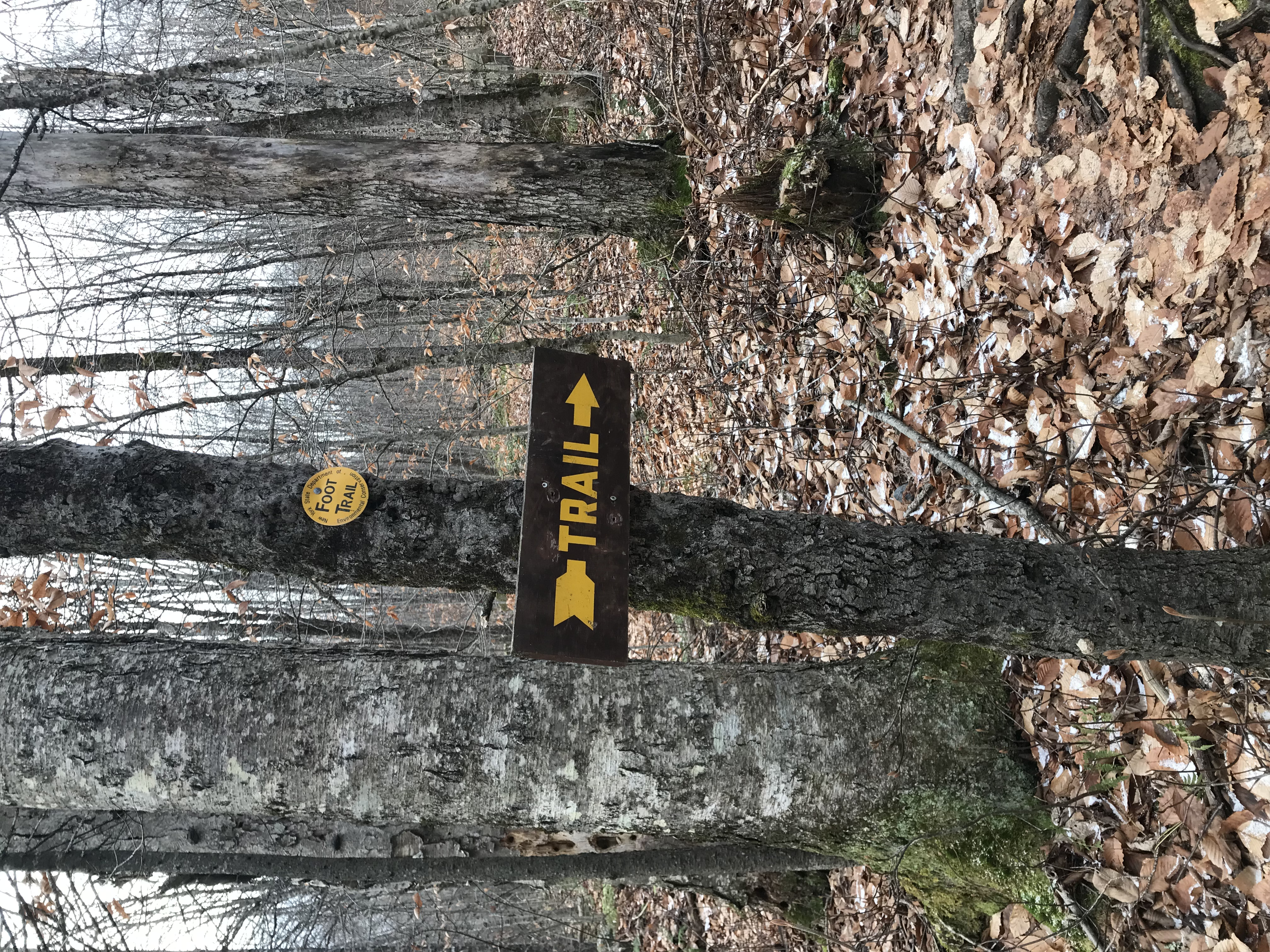 Yellow trail markers for Moxham Mountain