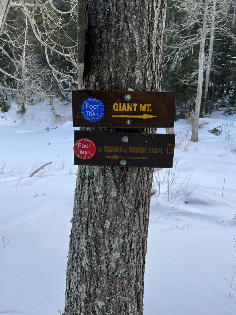 Trail sign near Giant Washbowl