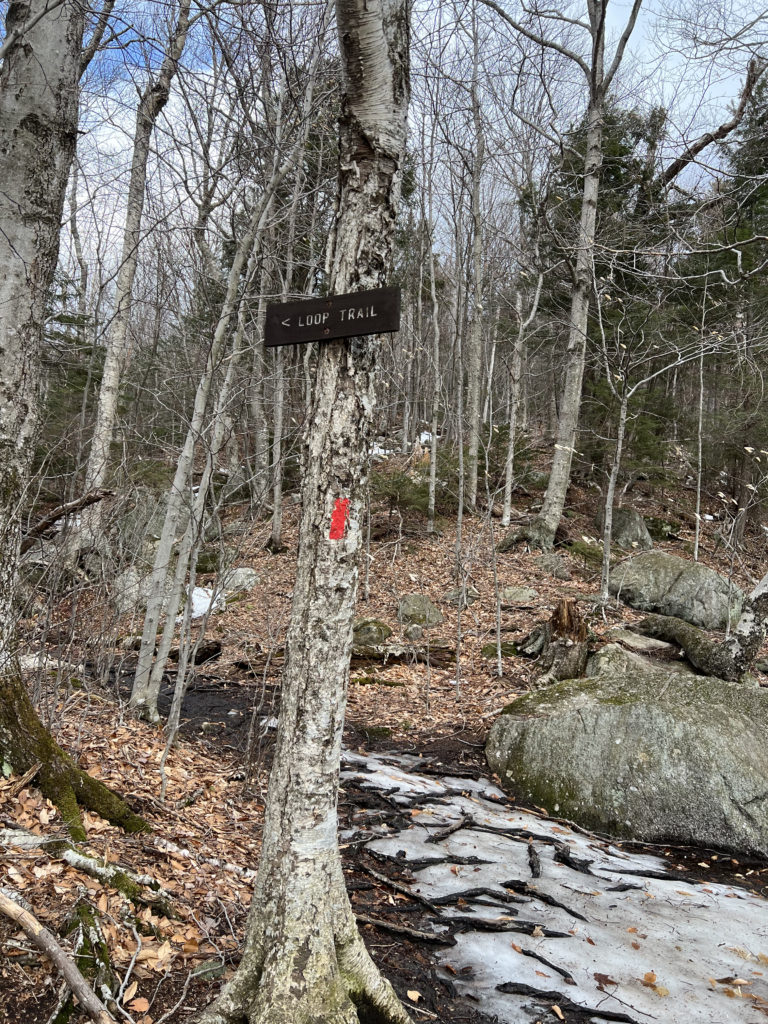 Red trail marker